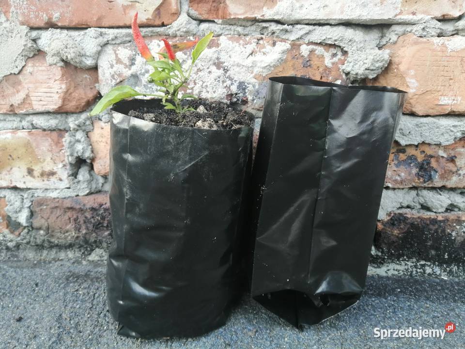 Doniczki foliowe 2L produkcyjne PRODUCENT Siewierz