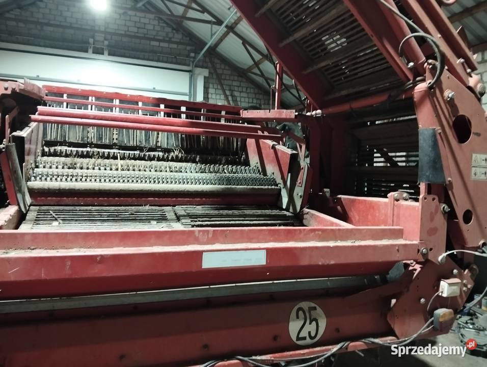 Kvernelans łódzkie Błaszki sprzedam