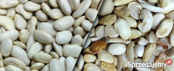 Sortownik optyczny SmartSort