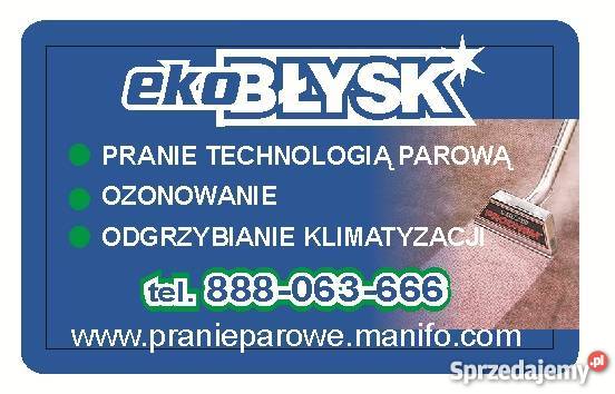PAROWE PRANIE DYWANÓW KANAP SOF U KLIENTA Płock