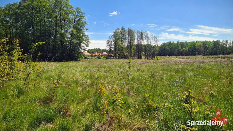 Działka Zaścianki 14263m2 podlaskie