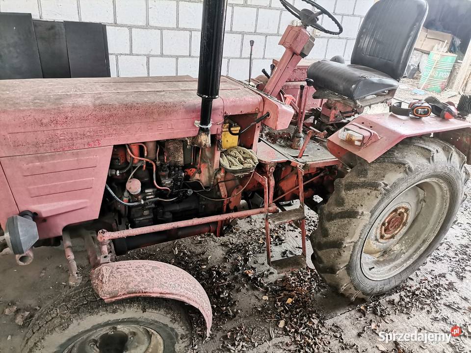 władimirec T25 Augustów