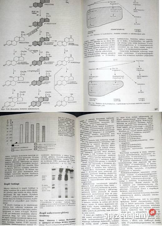 Nauka o chorobach wewnętrznych Tom 3 Witold Pozostałe Chełm