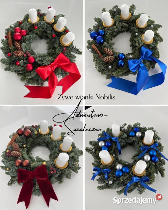 Wianek adwentowo świąteczny żywa choina Tychy