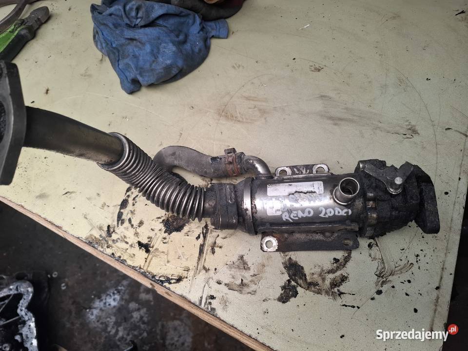 RENAULT TRAFIC VIVARO 20 DCI M9R chłodnica świętokrzyskie Kielce