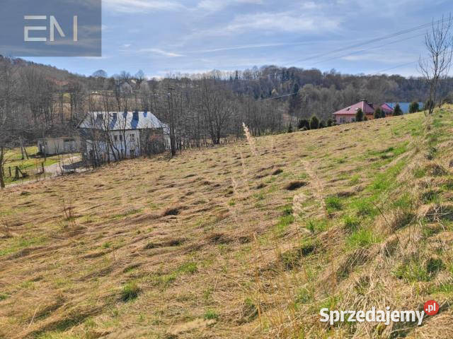 sprzedaży gruntu Wesoła 2500m2 asfalt sprzedam