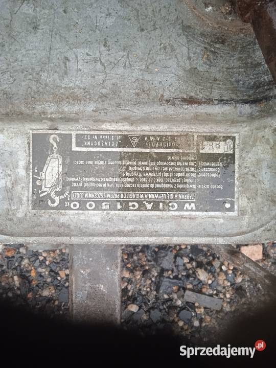 Kifor rud cug Leśna sprzedam