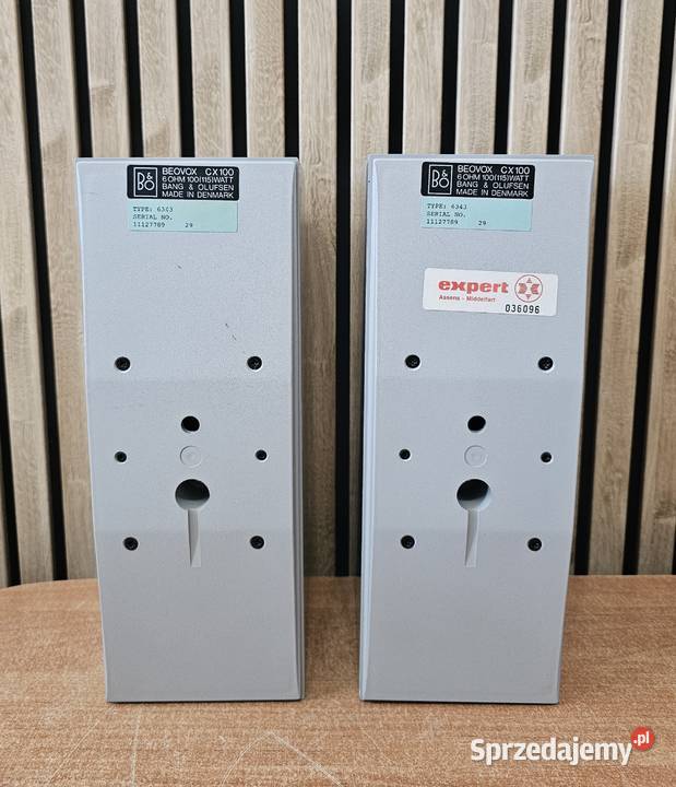 Kolumny BangOlufsen CX100 szare lubuskie Gorzów Wielkopolski