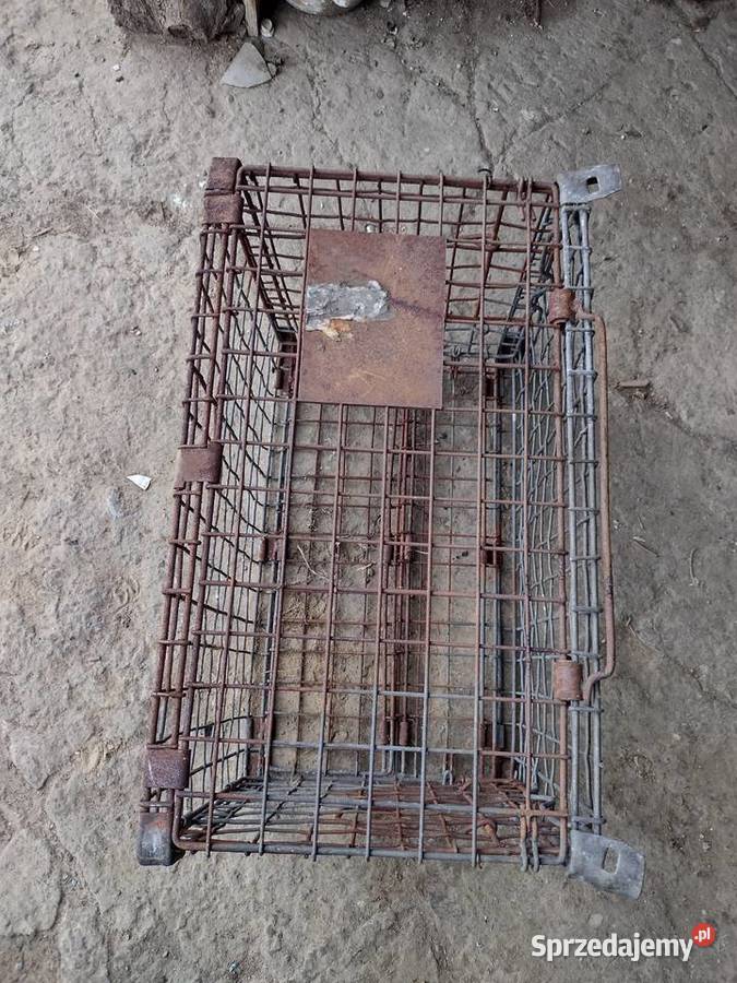 Stara skrzynka PRL Gołcza