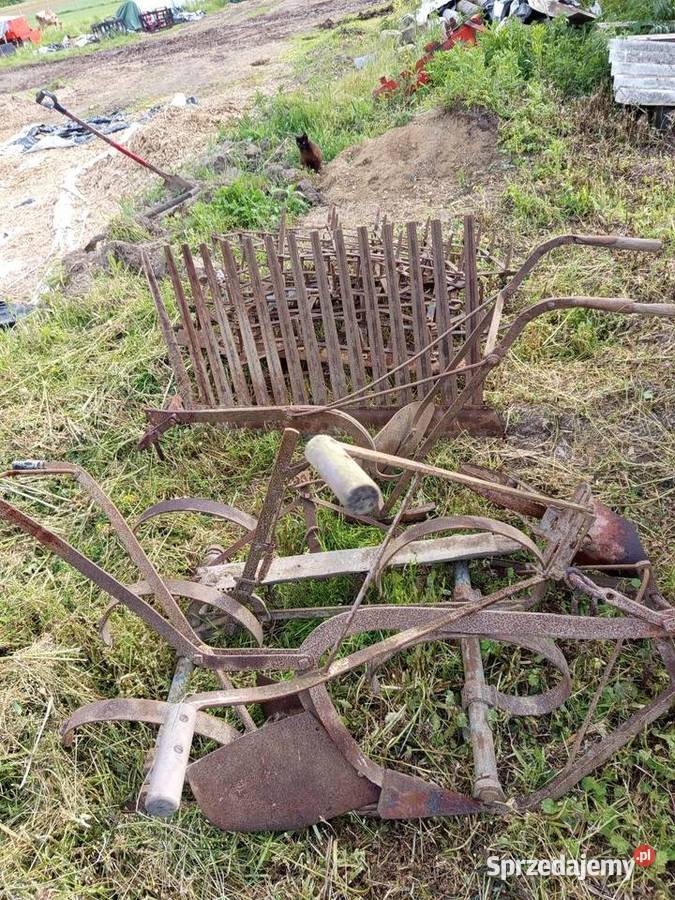 Maszyny konne Wielkolas