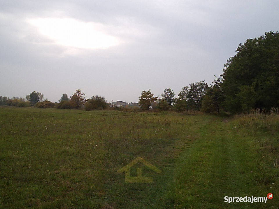 Działka w Całowaniu Gmina Karczew Całowanie sprzedam