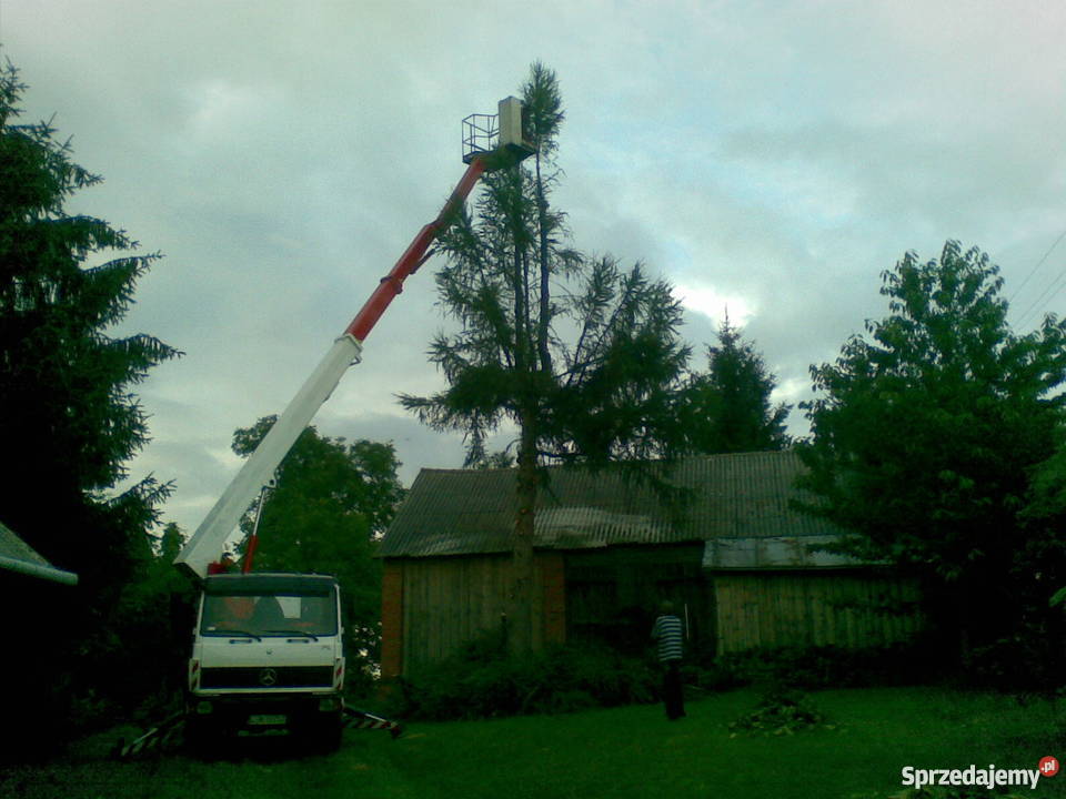 Usługi dźwigowe dźwigi usługi dźwigiem podnośnik Tomaszów Lubelski
