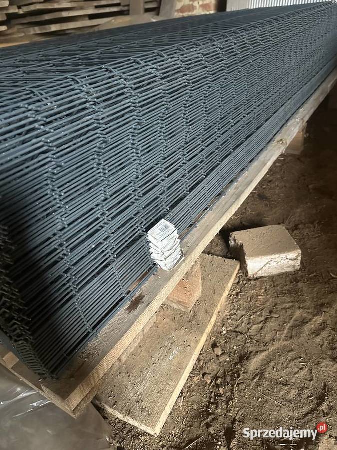 Panele ogrodzeniowe 123x250 fi31 Lisów
