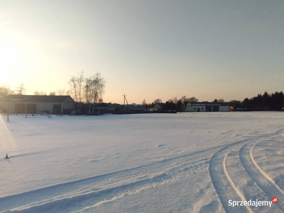 sprzedaży działki 2397 metrów Wojciechów
