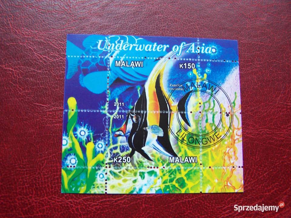 Malawi 2011 Fauna Ryby Tychy