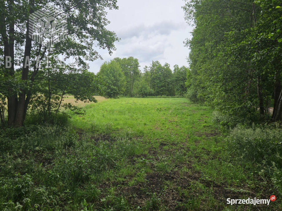 Sprzedaż działki 4158m2 Gorzewo 4158m2