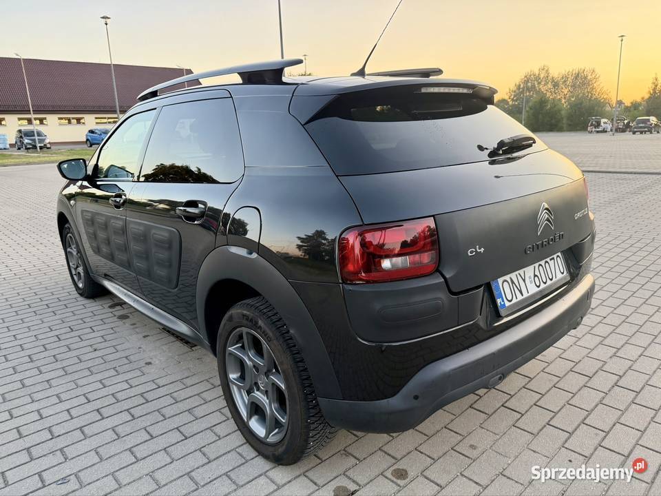 Citron C4 Cactus Nysa