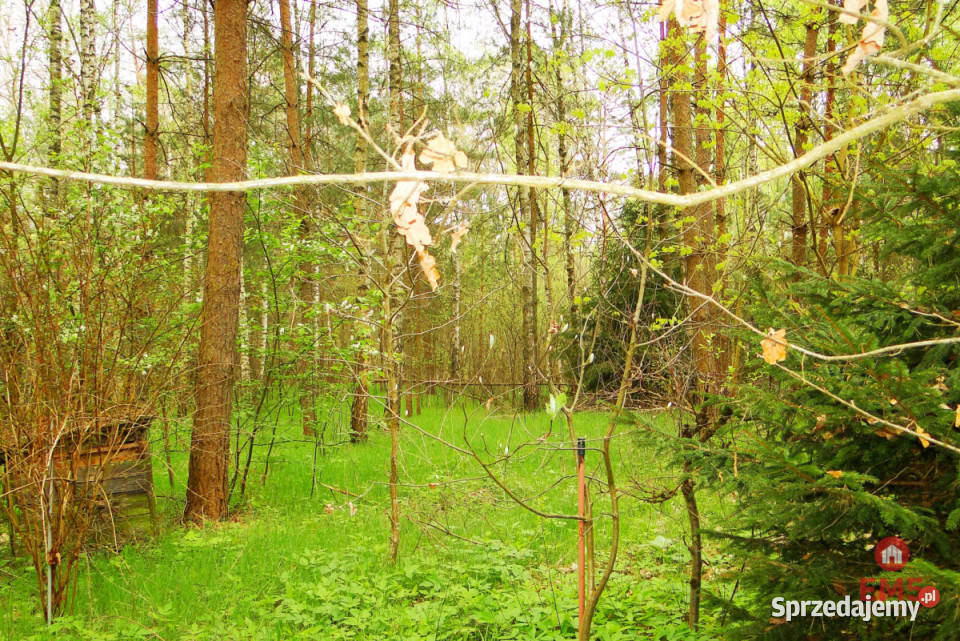 Grunt 8316m2 Rafałówka podlaskie