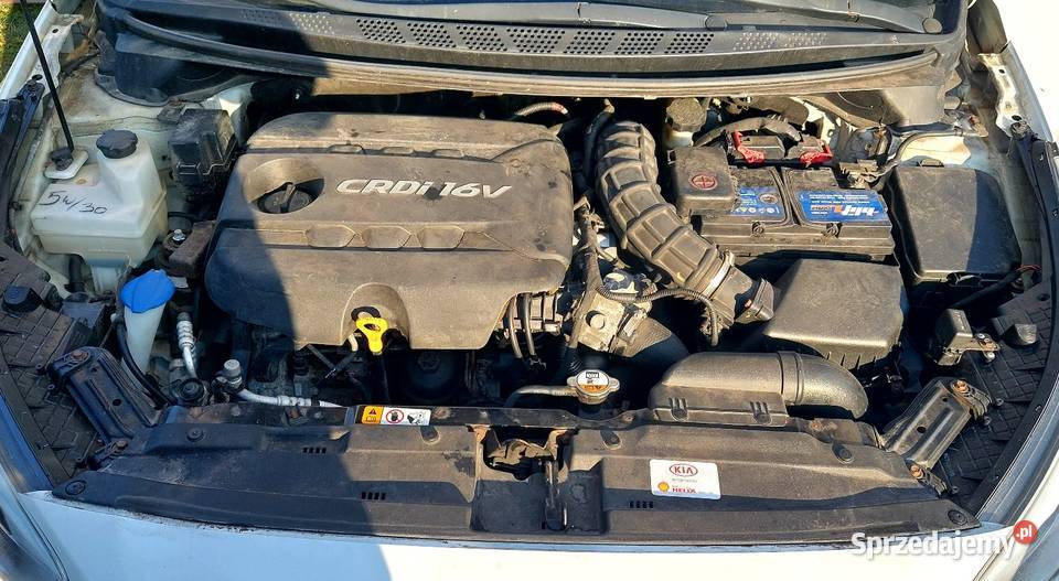 KIA PROCEED ZAMIANA Wymiana na AUTOLAWETA diesel