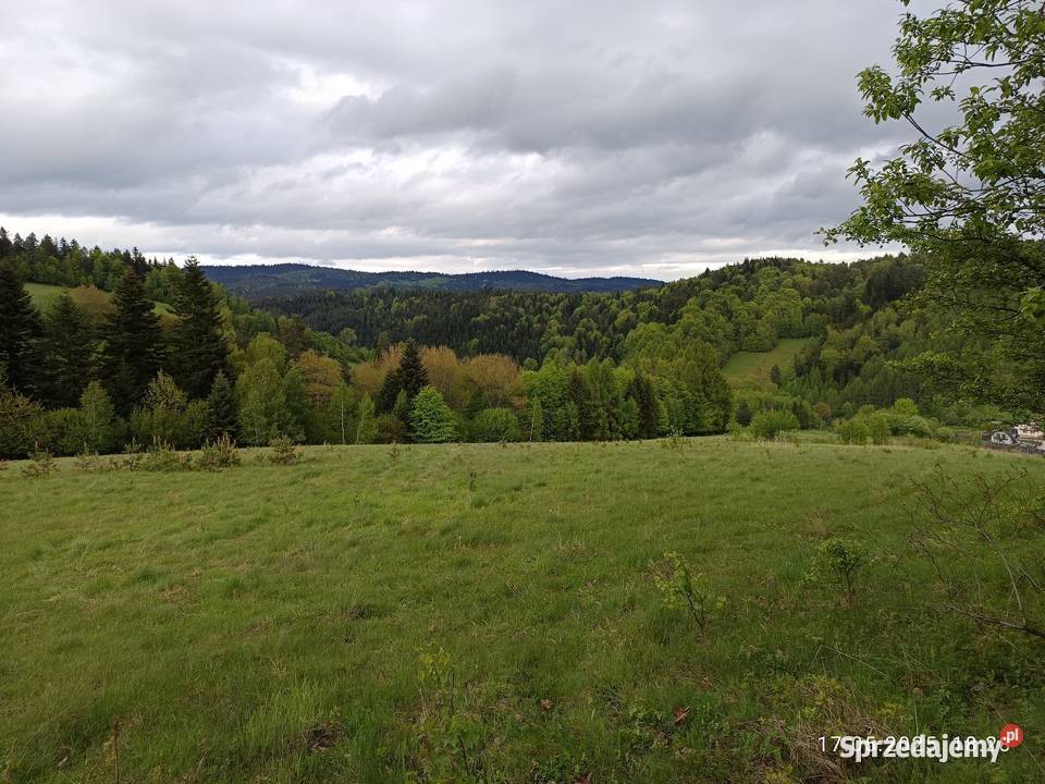 Działka budowlana w pobliżu Krynicy Zdroju 1400m2 Łabowa