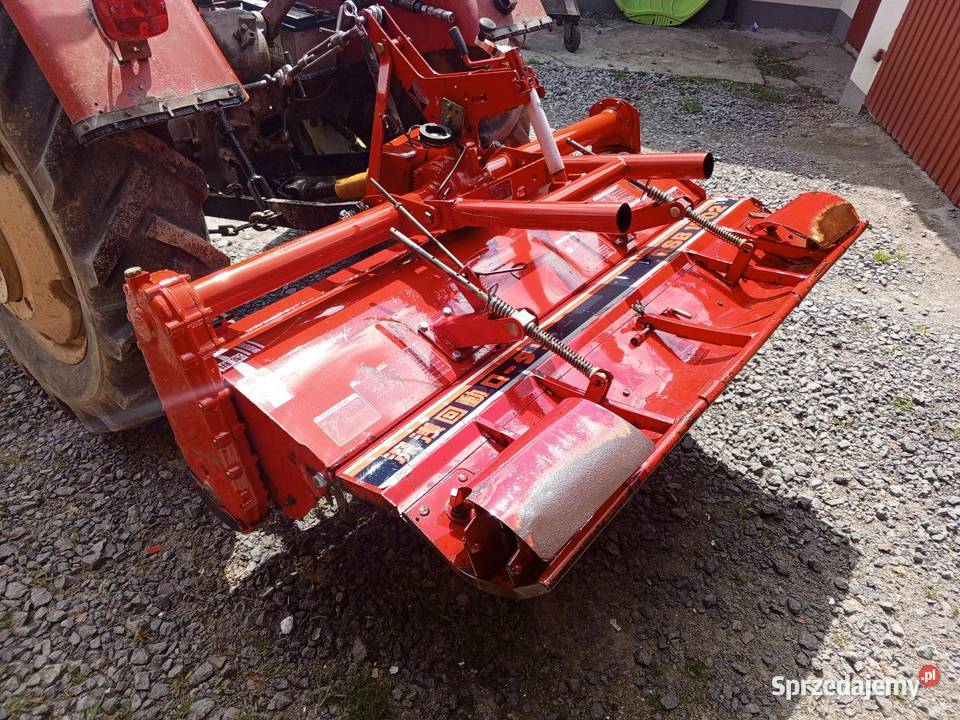 Glebogryzarka japonska do truskawek 155 świętokrzyskie Kielce