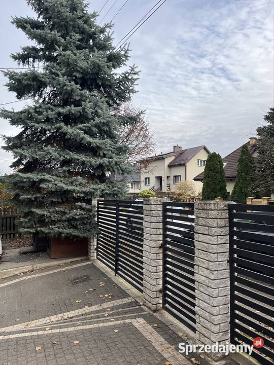 Dom Płock wyjątkowe miejsce spokój cisza 125m2 mazowieckie sprzedam