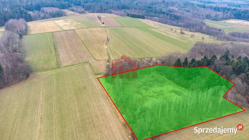 sprzedaży gruntu Żyznów 10400m2 Sprzedaż