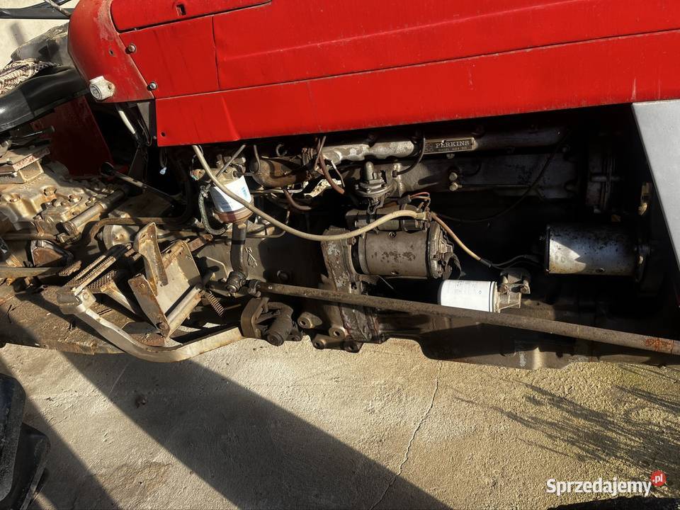 Massey Ferguson 158 Nowe Skudzawy