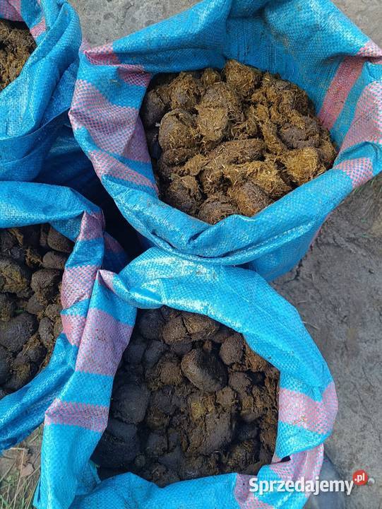 Obornik koński czysty bez słomy podlaskie Gatne Drugie