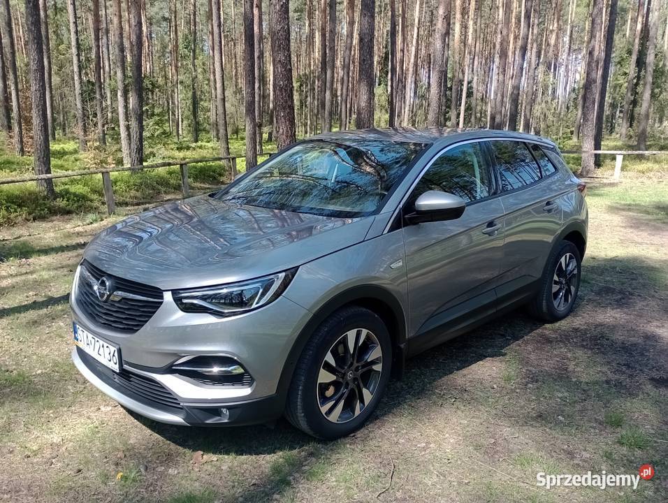 Opel Grandland X pierwszy właściciel mały Samochody osobowe