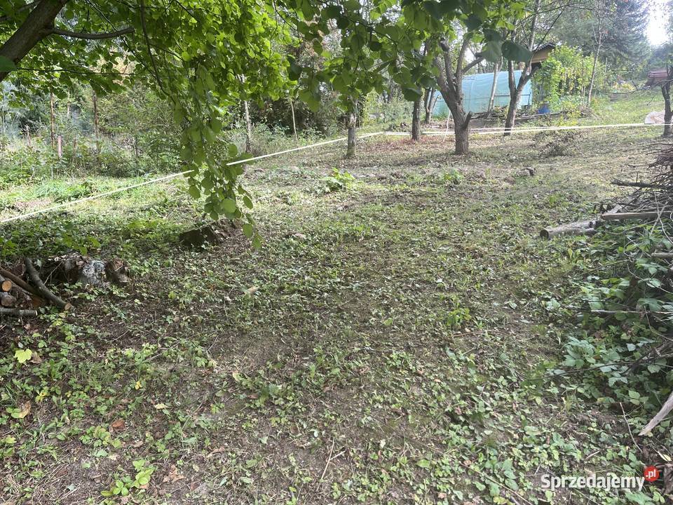 Działka ROD Bratek Dąbrowica 380m2 Ogródek