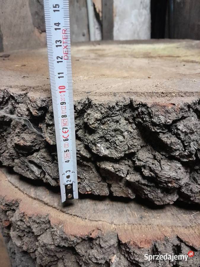 Plastry dębowe 60 różne grubości lite drewno śląskie Dąbrowa Górnicza