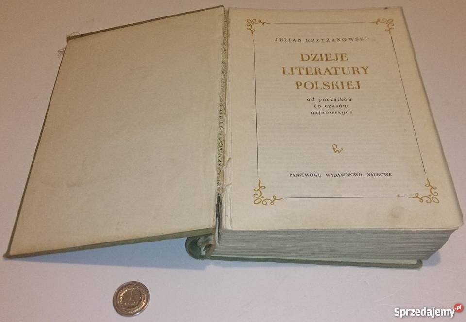 Julian Krzyżanowski Dzieje Literatury Polskiej śląskie Rogoźnik
