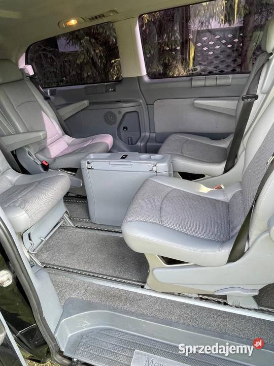 Mercedes Viano Pniewy