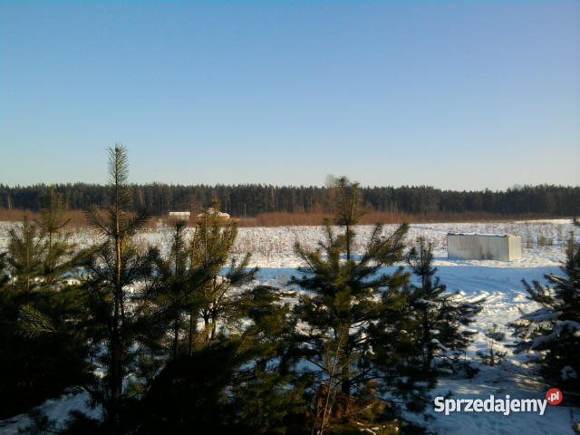 dzialke siedliskowom w czapielsku Grunty i działki