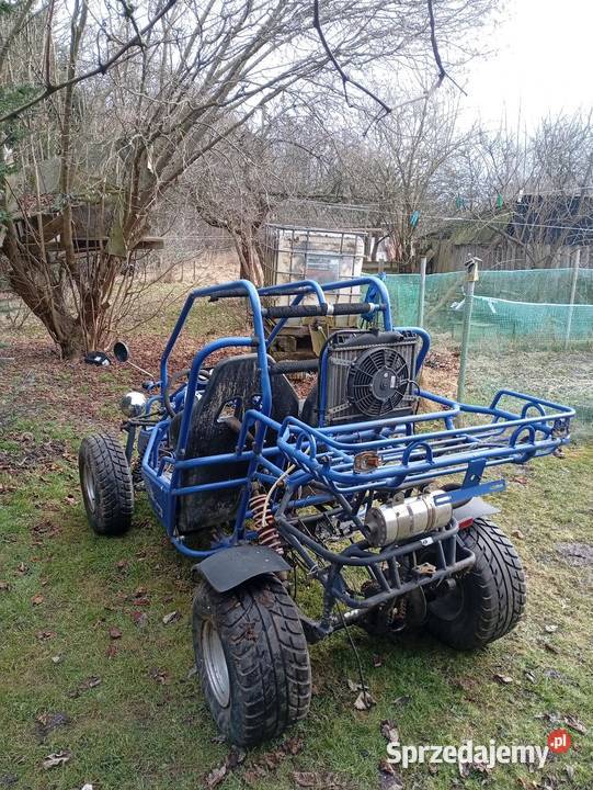 Buggy 250 automat uszkodzony Pozostałe lubuskie Mirostowice Górne