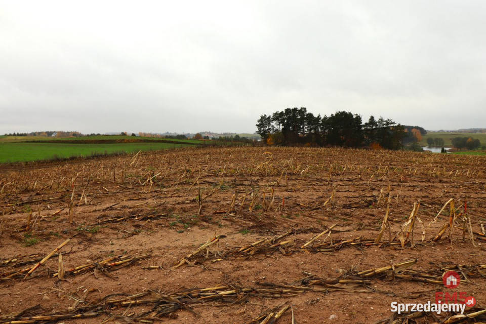 Działka 12000m2 Żegary Sprzedaż