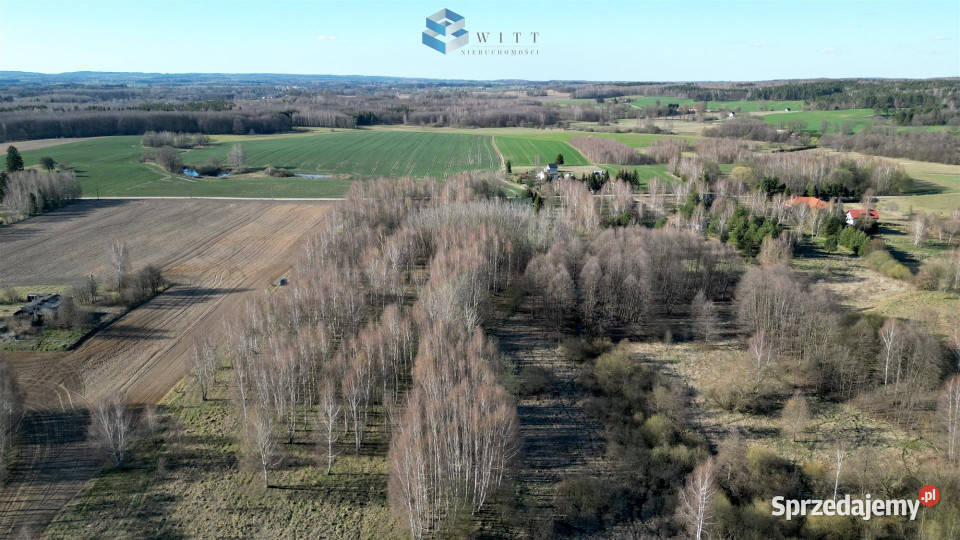 Działka 3006m2 Ostrowite warmińsko-mazurskie