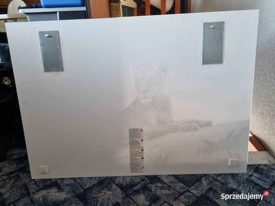 Szklany obraz lwicy 100x 70 Harklowa