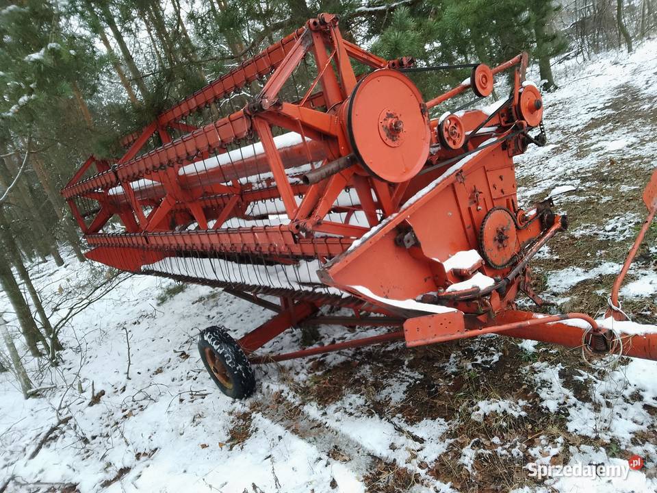 Heder bizon Węgrów