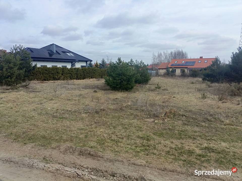 Działka budowlana Ptasia Dąbrowa Chełmińska