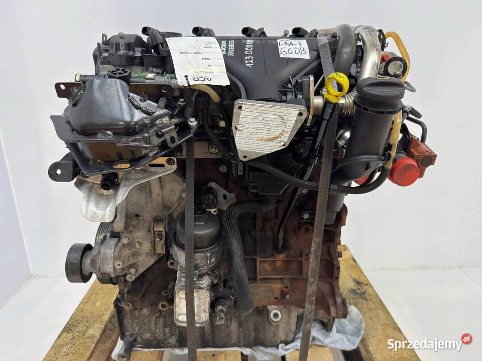 SILNIK G6DB Ford C C 20 TDCI 136 G6DA G6DD G6DG osobowe