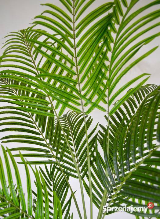 Palma Kentia Areca sztuczna drzewko Sagowiec 160