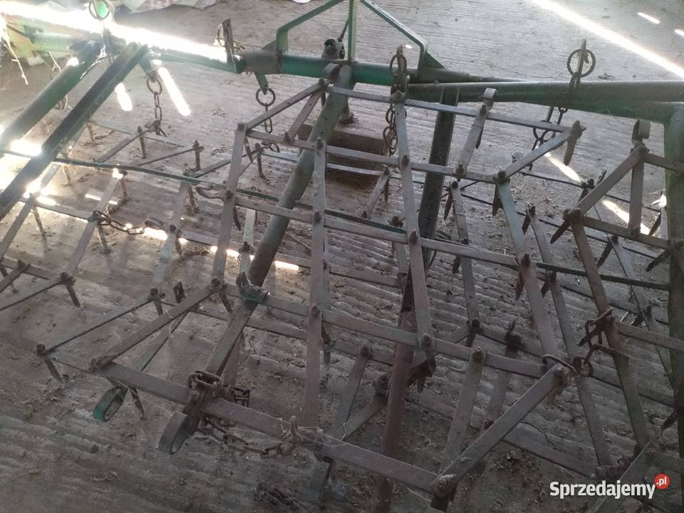 Brony polowe 5 Rusociny