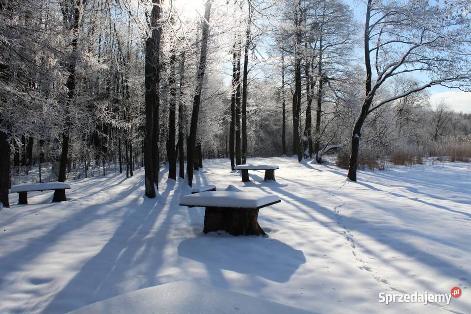 Działka rekreacyjna 3004 m2 w Karwiku