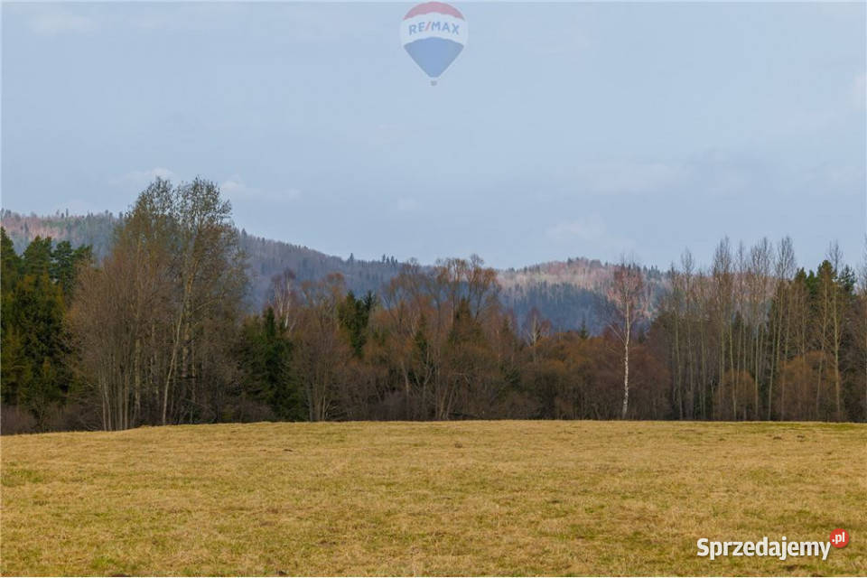 Działka w Sopotni Wielkiej kŻywca