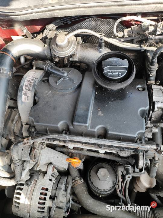 Volkswagen Polo Silnik AMF 14 TDI pompowtrysk Żywiec