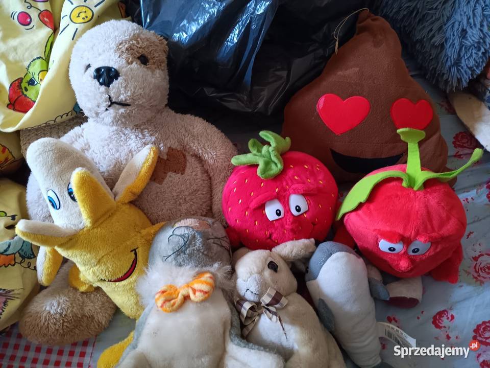 Pluszaki rożne Osielec