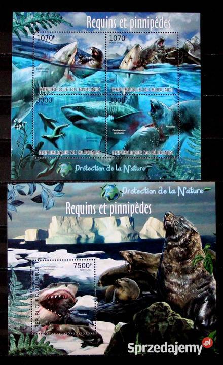 Burundi 25502553 4 jpg