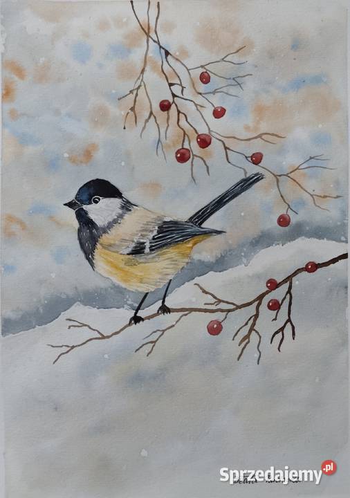 Akwarela Akwarelka Obraz pt Sikorka